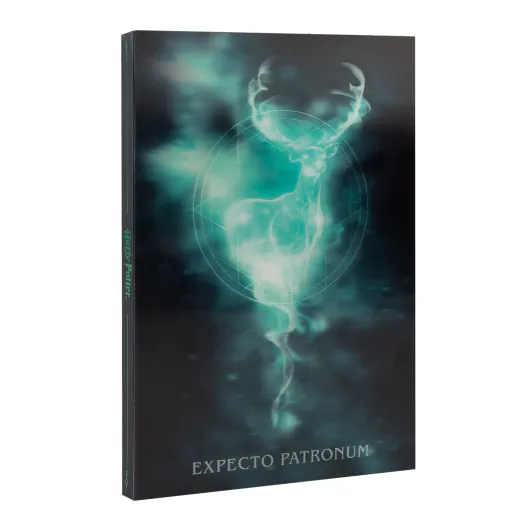 Caderno Lenticular A5 Harry Potter – Mágica e Criatividade