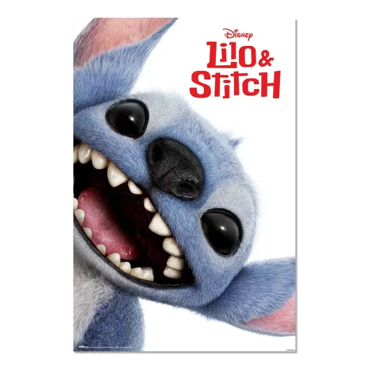 Poster Disney Stitch - Live Action Cara
