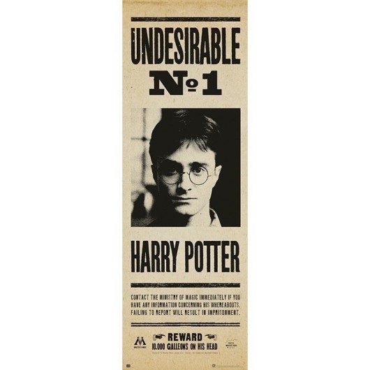Poster Porta Harry Potter: Indesejável Nº1