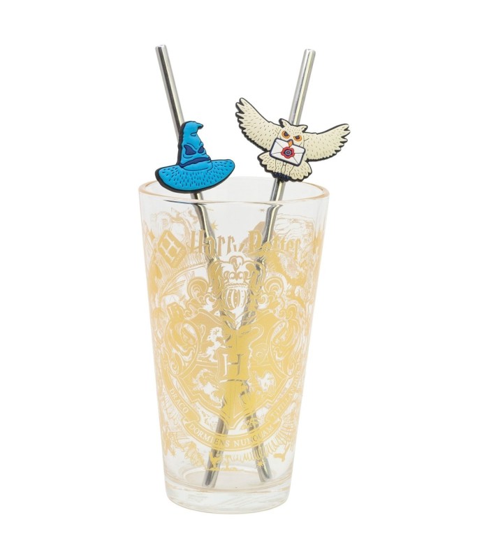Conjunto Copo com Duas Palhinhas 480 ml Harry Potter