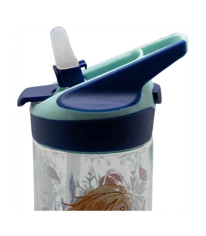 Botelha Ecozen Premium Mediana 620 ml Frozen